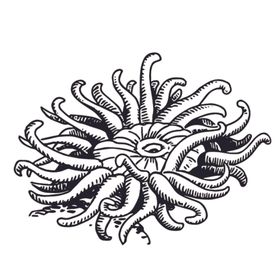 海洋生物 鱼类海底动物
