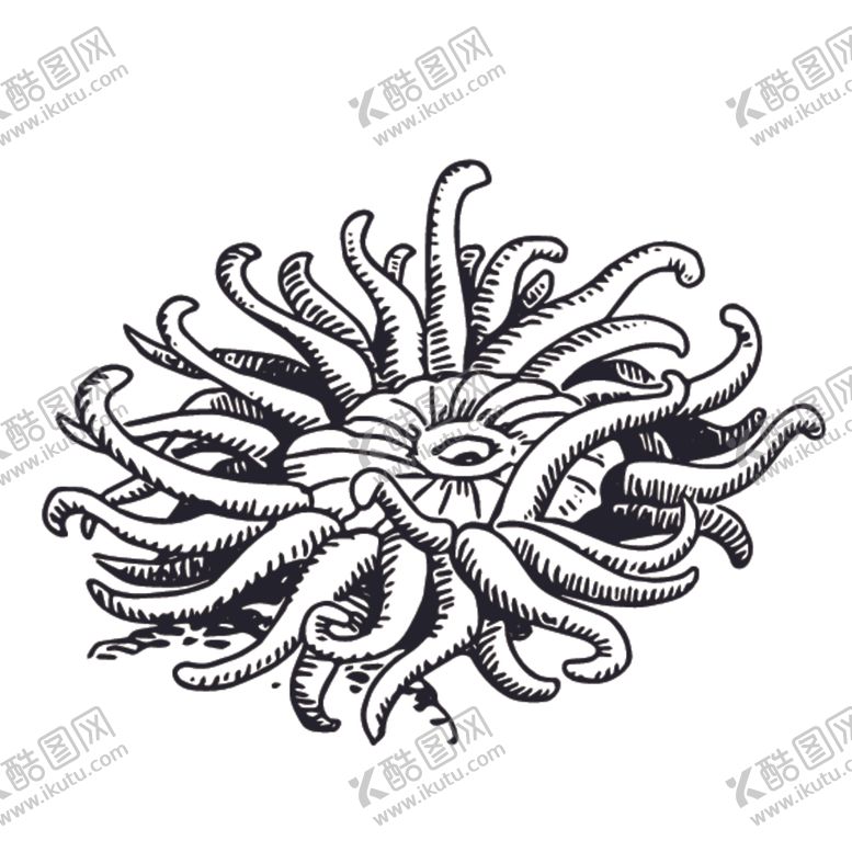 编号：33759707122331166709【酷图网】源文件下载-海洋生物鱼类图案