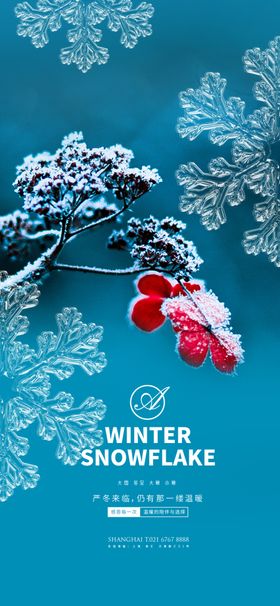 大雪冬至大寒小寒松花系列稿