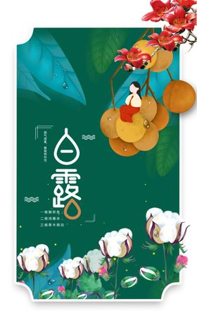 寒露棉花开