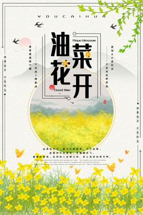 油菜花开