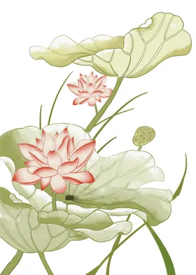 免扣荷花素材莲工笔画莲底纹水彩