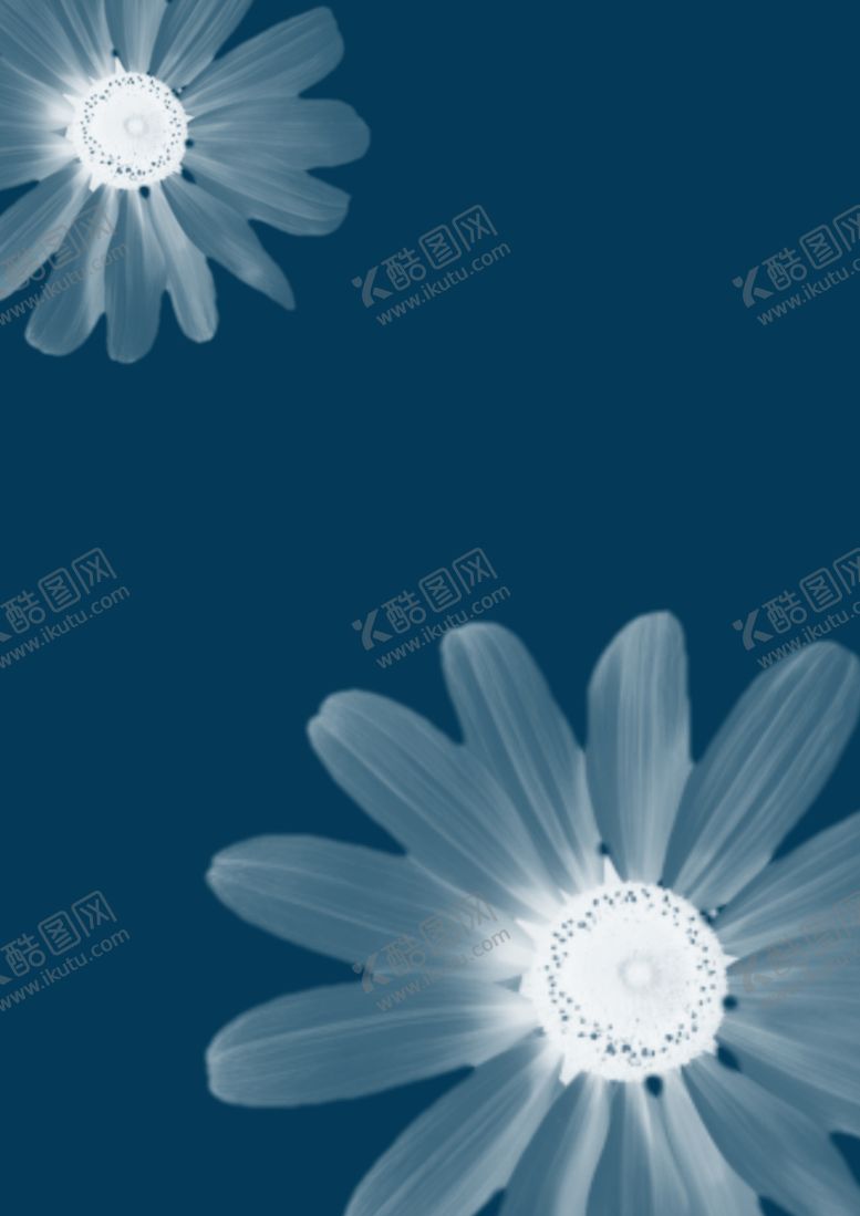 编号：60550409231510471408【酷图网】源文件下载-花背景图