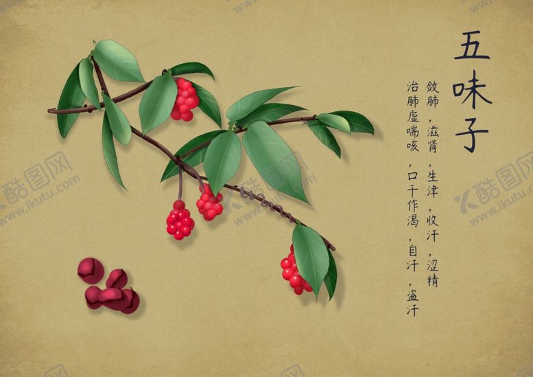 编号：47770802260312098688【酷图网】源文件下载-药材图谱