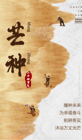芒种创意海报