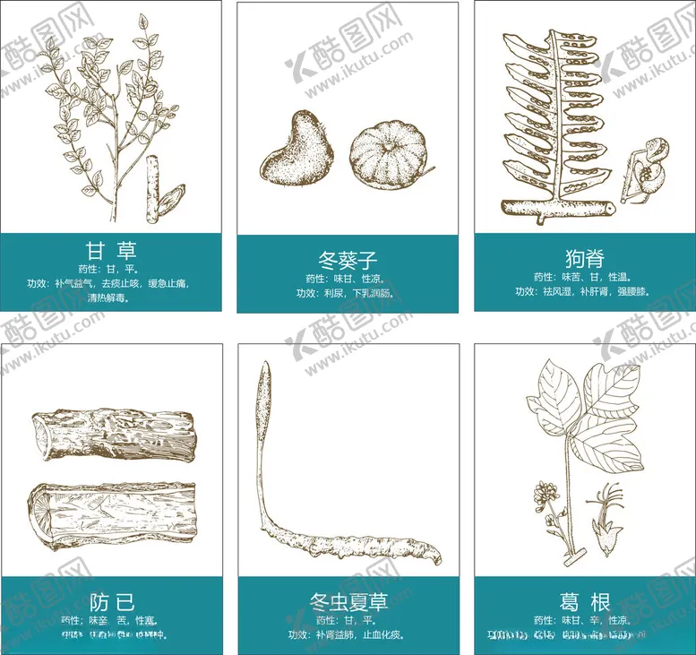 编号：23348802201226294299【酷图网】源文件下载-中药矢量