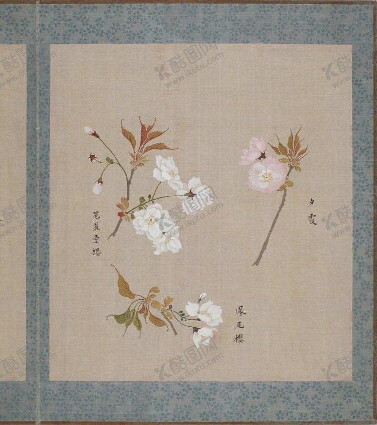 编号：67681405100221371887【酷图网】源文件下载-樱花