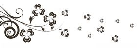 花卉图案