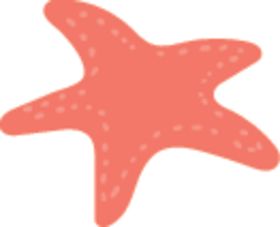 海星雕像巴西坐标