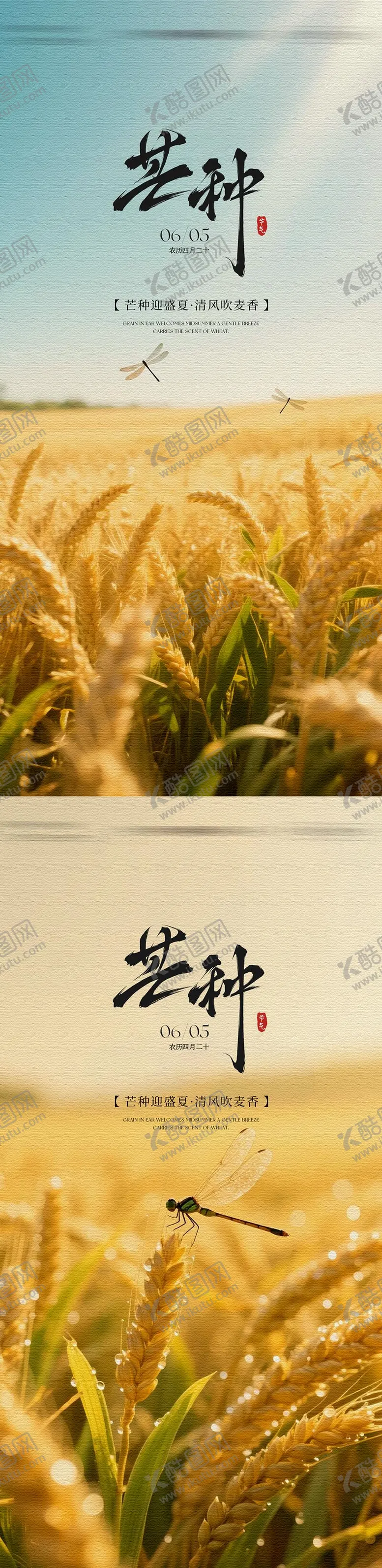 编号：25053806012340229817【酷图网】源文件下载-地产芒种节气海报