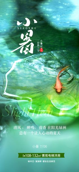 小暑二十四节气地产鱼