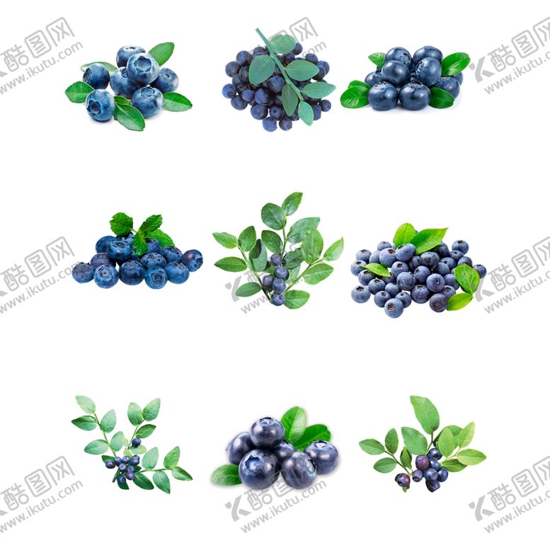 编号：97377507140218324696【酷图网】源文件下载-蓝莓