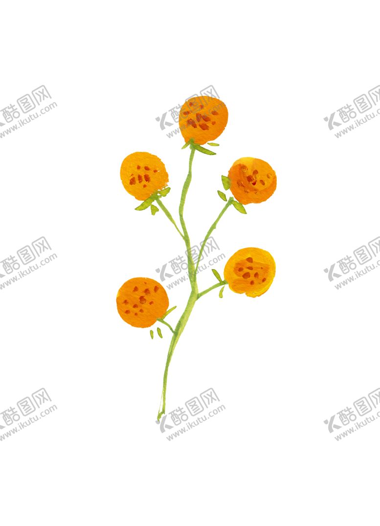 编号：48640705190507486400【酷图网】源文件下载-水粉花卉素材花型