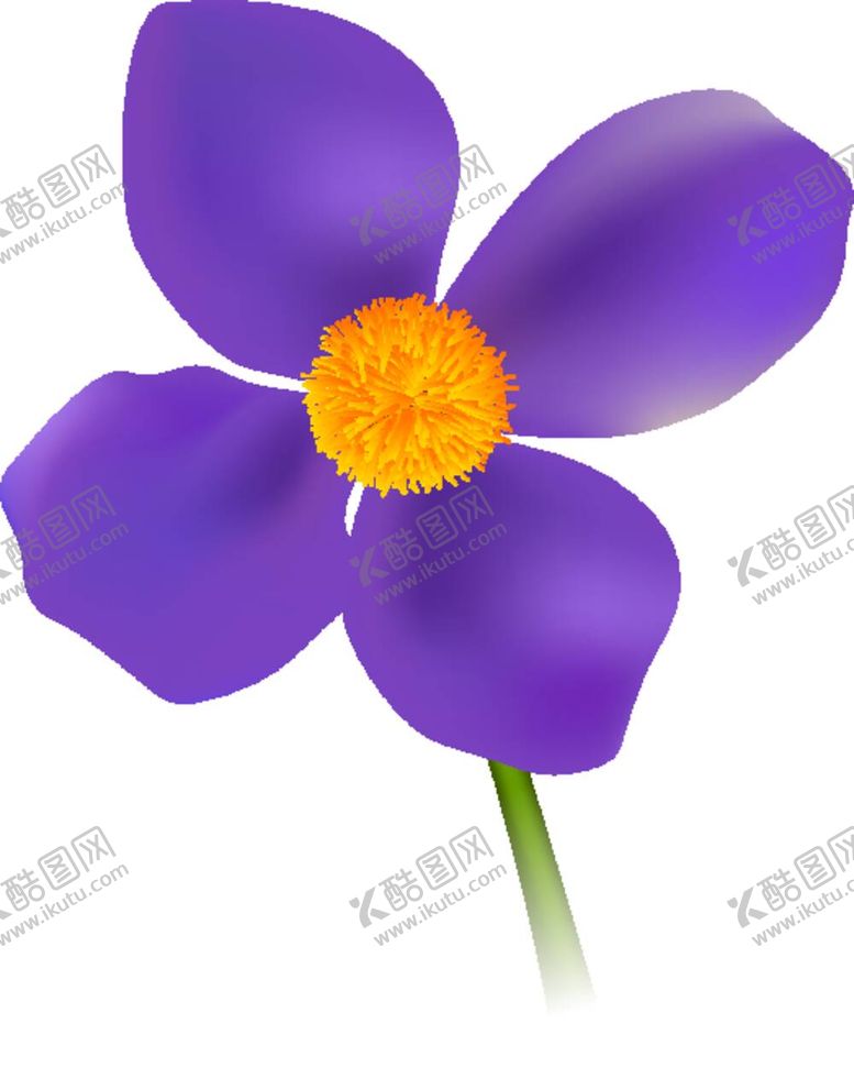 编号：32782211302252472447【酷图网】源文件下载-写实花卉