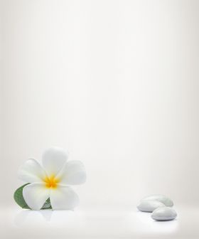 淡雅鸡蛋花