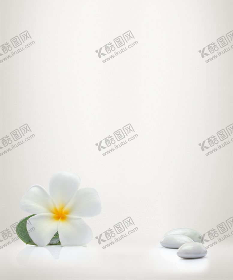 编号：38362507041226587331【酷图网】源文件下载-淡雅鸡蛋花