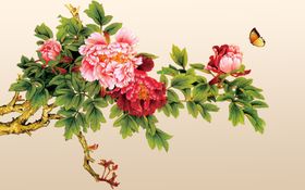牡丹花