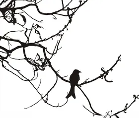 硅藻泥刻花线条花纹