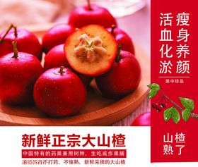 新鲜正宗大山楂