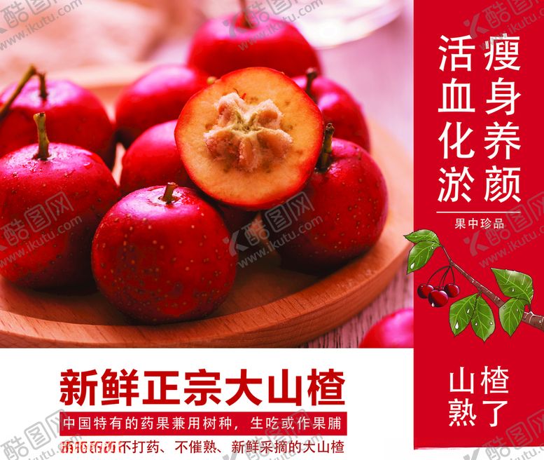 编号：55682705091631218699【酷图网】源文件下载-新鲜正宗大山楂
