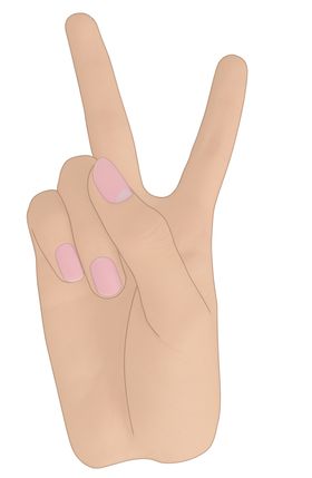 手势奖章剪刀书籍矢量图形