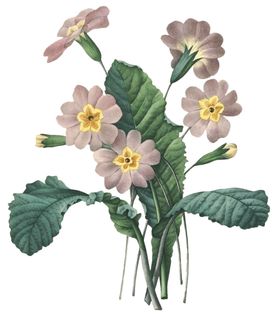 复古花