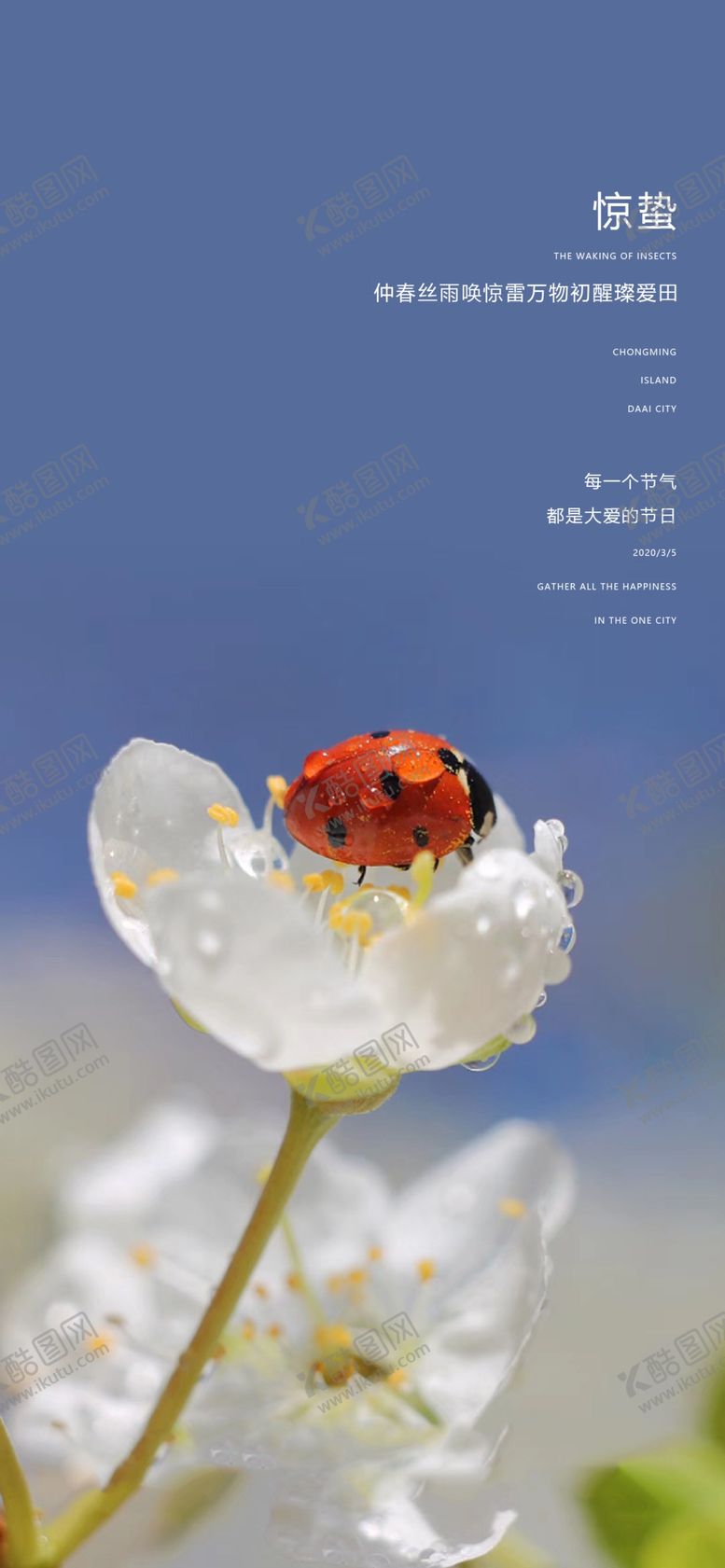 编号：91737910300819344793【酷图网】源文件下载-惊蛰节气海报