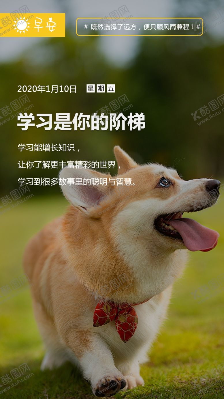 编号：53552010050735371913【酷图网】源文件下载-早安日历