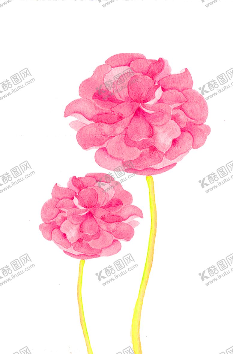 编号：64100807070249381018【酷图网】源文件下载-鲜花装饰