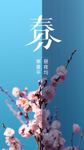 春分二十四节气天海报设计季插画