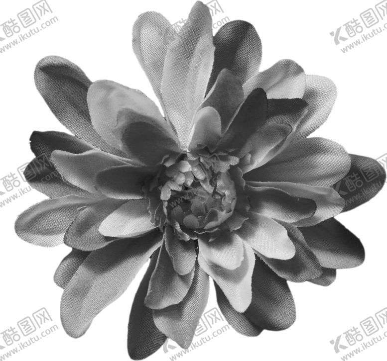 编号：61081609220755524491【酷图网】源文件下载-鲜花素材