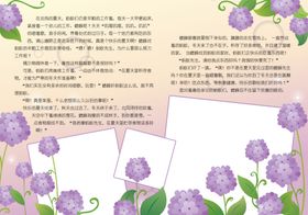 牛肉面故事
