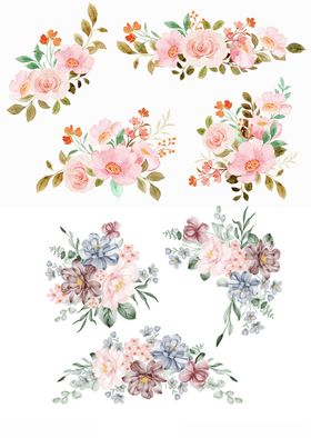 水彩花卉装饰图案集合