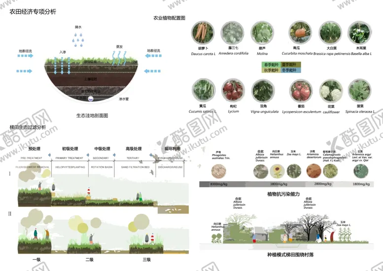 编号：16954001251948158207【酷图网】源文件下载-植物分析