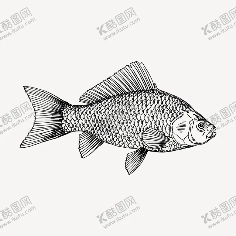 编号：11469112112046174706【酷图网】源文件下载-手绘鱼