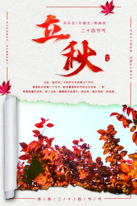 立秋日落叶插画