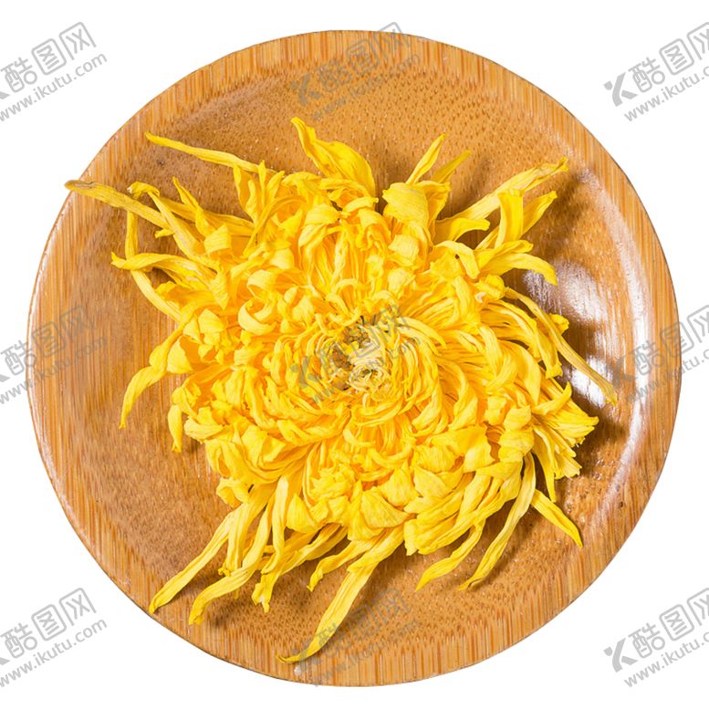 编号：50417307010509132289【酷图网】源文件下载-菊花装饰