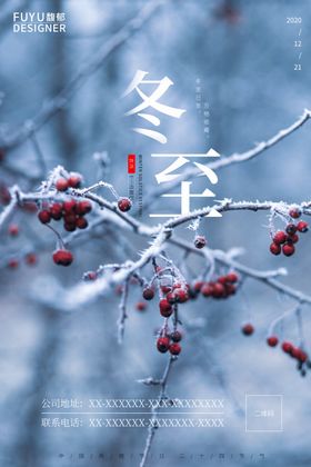 冬天传单初冬时节节气海报