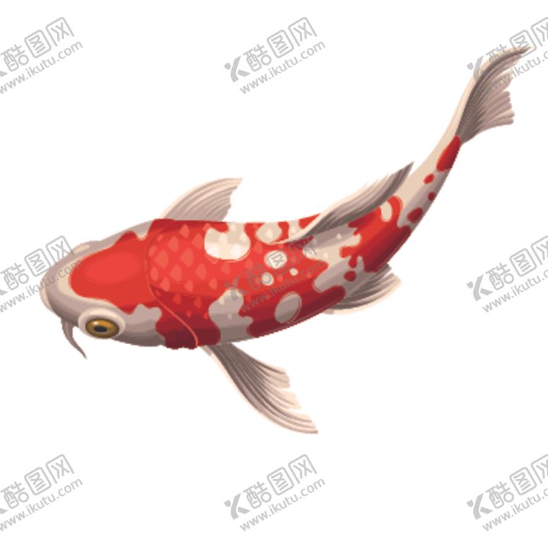 编号：15276010261943007311【酷图网】源文件下载-鲤鱼插画图案
