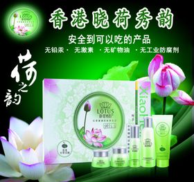 晓荷秀韵