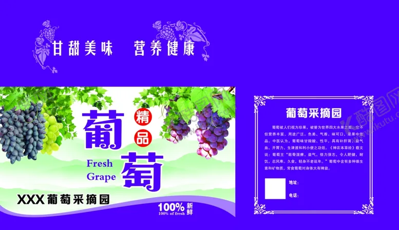 编号：56701504221337423171【酷图网】源文件下载-葡萄箱
