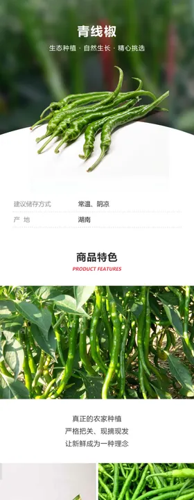 青圆椒