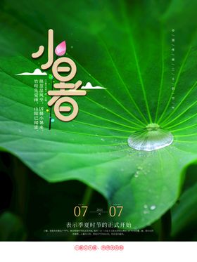小暑大节气节日节气中式海报