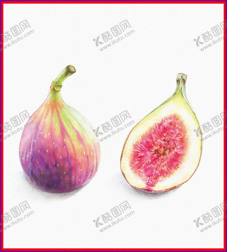 编号：45218804141703553105【酷图网】源文件下载-南瓜手绘