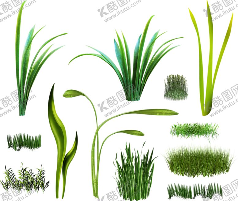 编号：15930809142041071455【酷图网】源文件下载-绿色植物