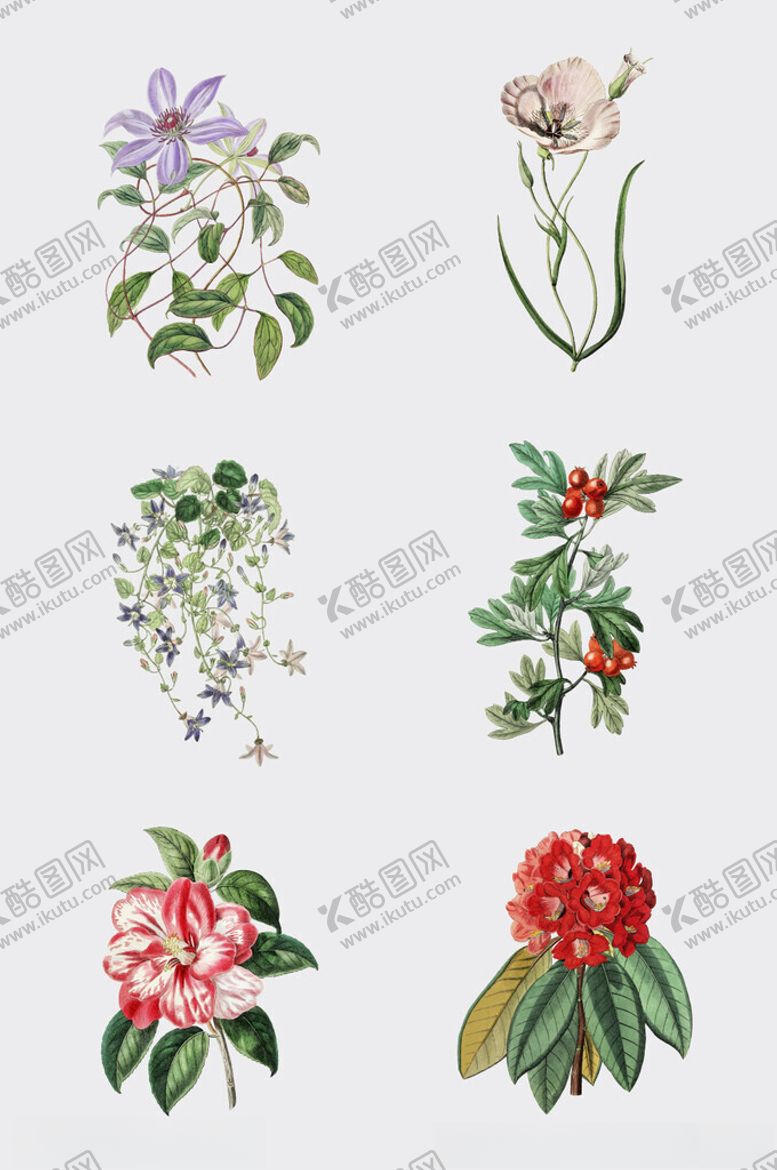 编号：35327502270430202260【酷图网】源文件下载-手绘水彩绿植插画元素