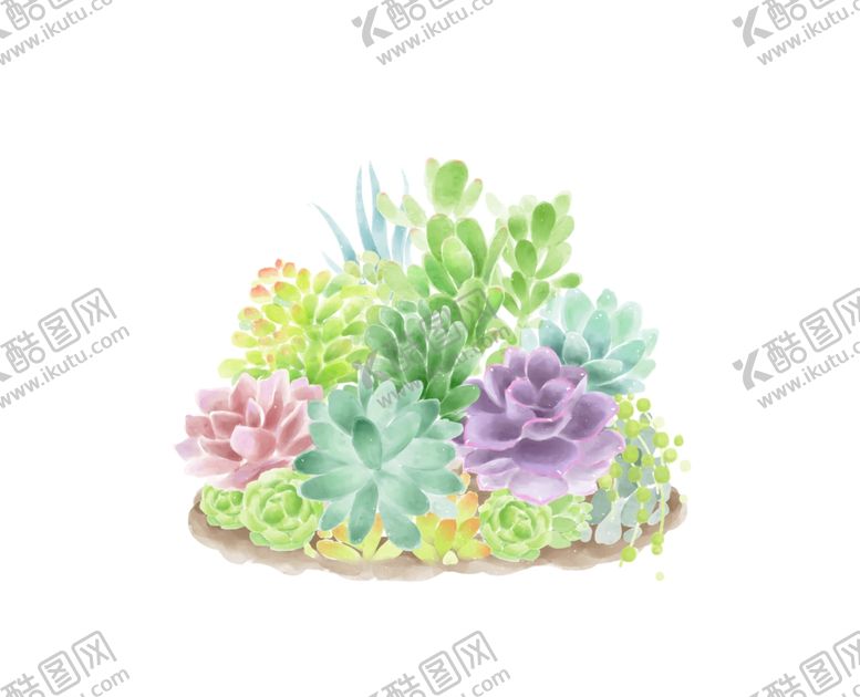 编号：94569309241147016888【酷图网】源文件下载-手绘多肉