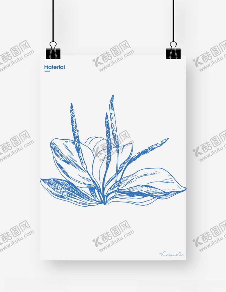 编号：70303605061212179281【酷图网】源文件下载-车轮草