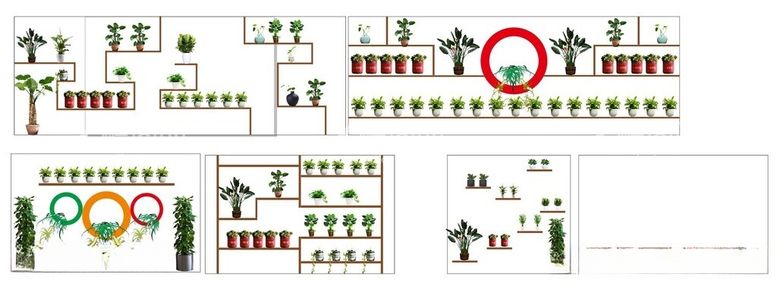 编号：57261012180652135753【酷图网】源文件下载-盆栽