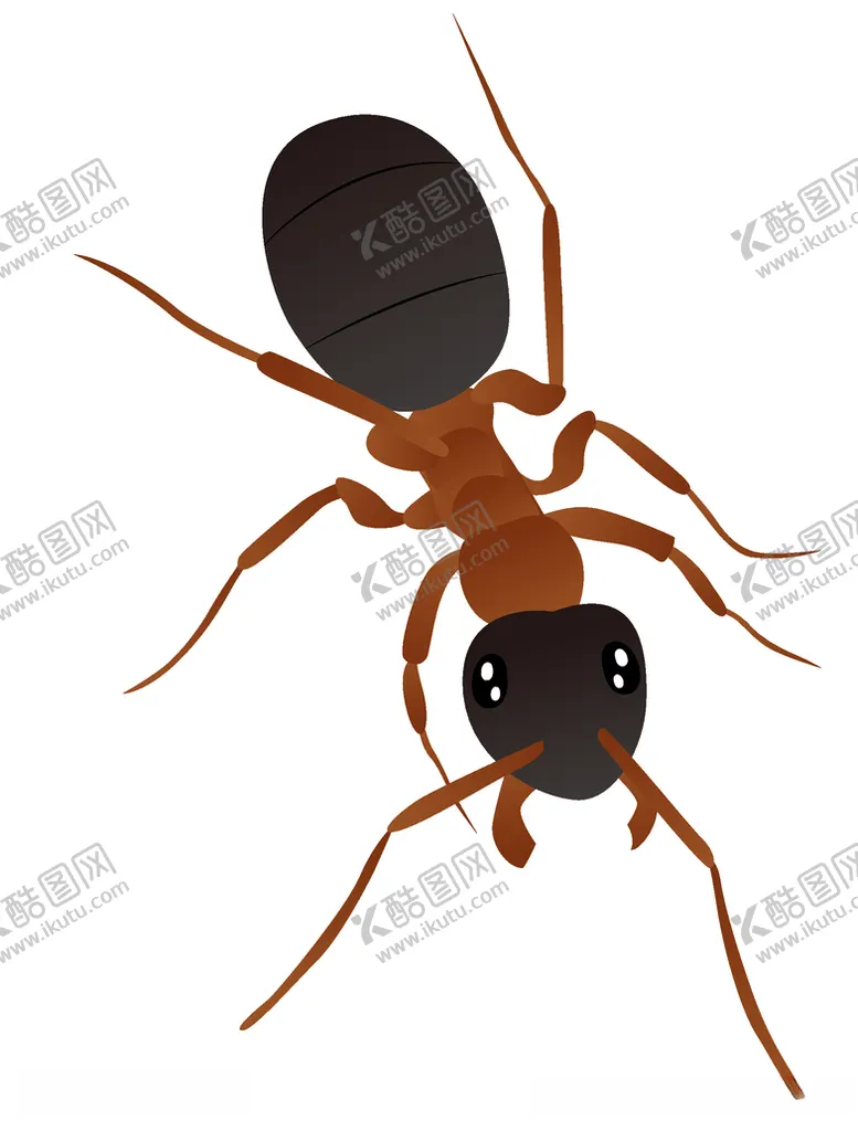 编号：99303405060242351710【酷图网】源文件下载-矢量卡通蚂蚁